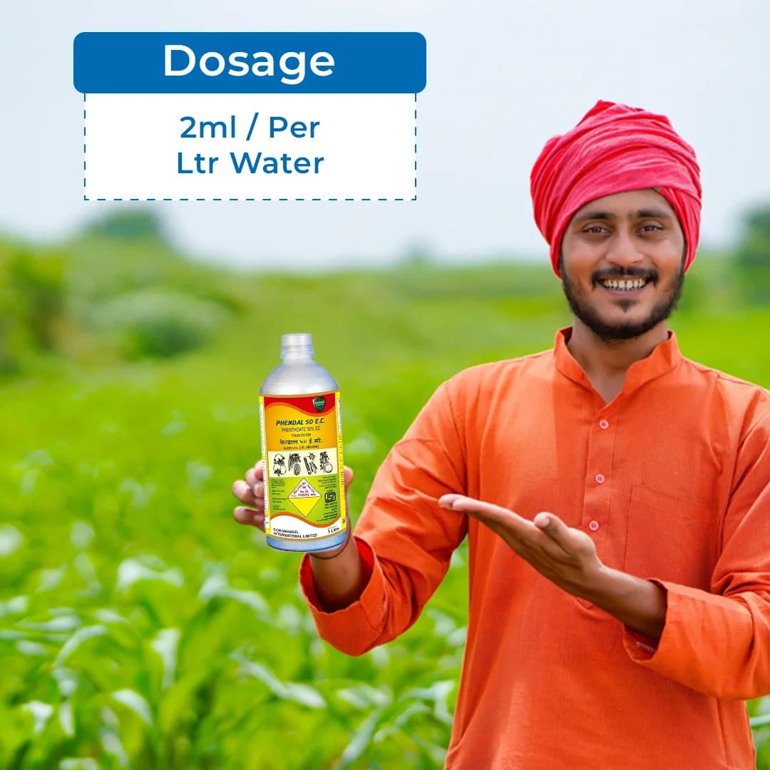 Coromandel Phendal Phenthoate 50% EC, Non-Systemic Organophosphorus Insecticide, Broad Spectrum Effectiveness On Crop Pest - Image 5