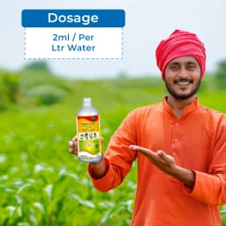 Coromandel Phendal Phenthoate 50% EC, Non-Systemic Organophosphorus Insecticide, Broad Spectrum Effectiveness On Crop Pest 5