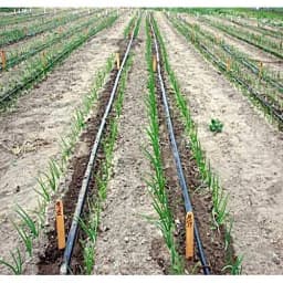 Siddhi Inline 16mm Drip Pipe, In Built Dripper, 4 Liter Water Discharge per Hour, Length-100 Meters 5