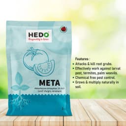 Hedo Meta (Metarhizium Anisopliae) Bio Pesticide, Effective Pest Control Against A Wide Range Of Insects 4