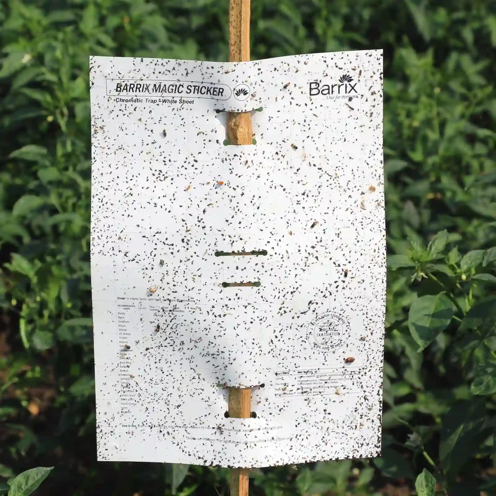 Barrix Magic Sticker - White Sheet, Non-Drying, Non-Fading, Non- Dripping. - Image 6