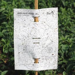 बैरिक्स मैजिक स्टिकर - सफेद शीट, न सूखने वाली, न फीकी पड़ने वाली, न टपकने वाली। 6