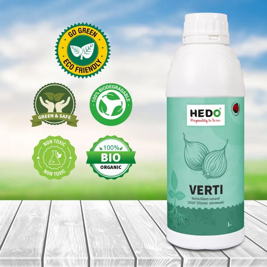 HEDO Verticillium Lecanii Liquid Bio Pesticide, For Agriculture, Garden & All Crops To Control Aphids, Thrips, Whiteflies, & Jassids - Image 6