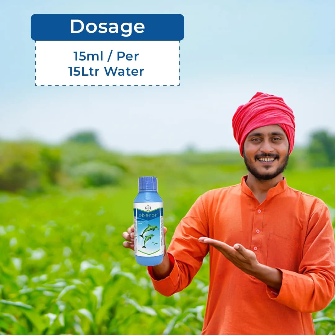 Bayer Oberon Insecticide - Image 5