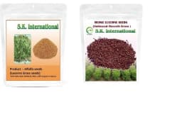 SK ORGANIC Combo Pack (Alfalfa Lucerne seeds 500 Gm + Hedge Lucerne Seeds 500 Gm) Velimasal-Dasrath Seeds 4