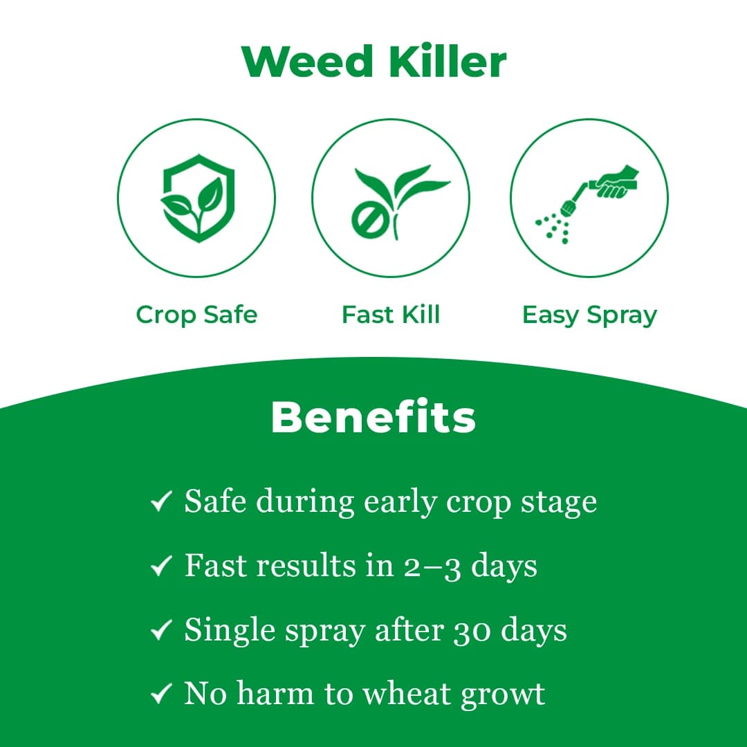 Insecticide India Omega Clodinafop Propargyl 15% WP, Post Emergence Broad Spectrum Herbicide - Image 3