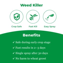 Insecticide India Omega Clodinafop Propargyl 15% WP, Post Emergence Broad Spectrum Herbicide 3