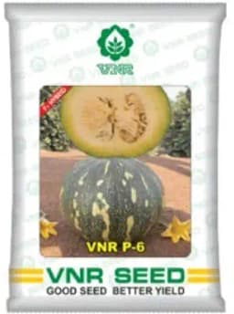 वीएनआर संकर कद्दू के बीज, उच्च उपज क्षमता और बेहतरीन भंडारण गुणवत्ता, कद्दू के बीज से सर्वोत्तम उपज। 2