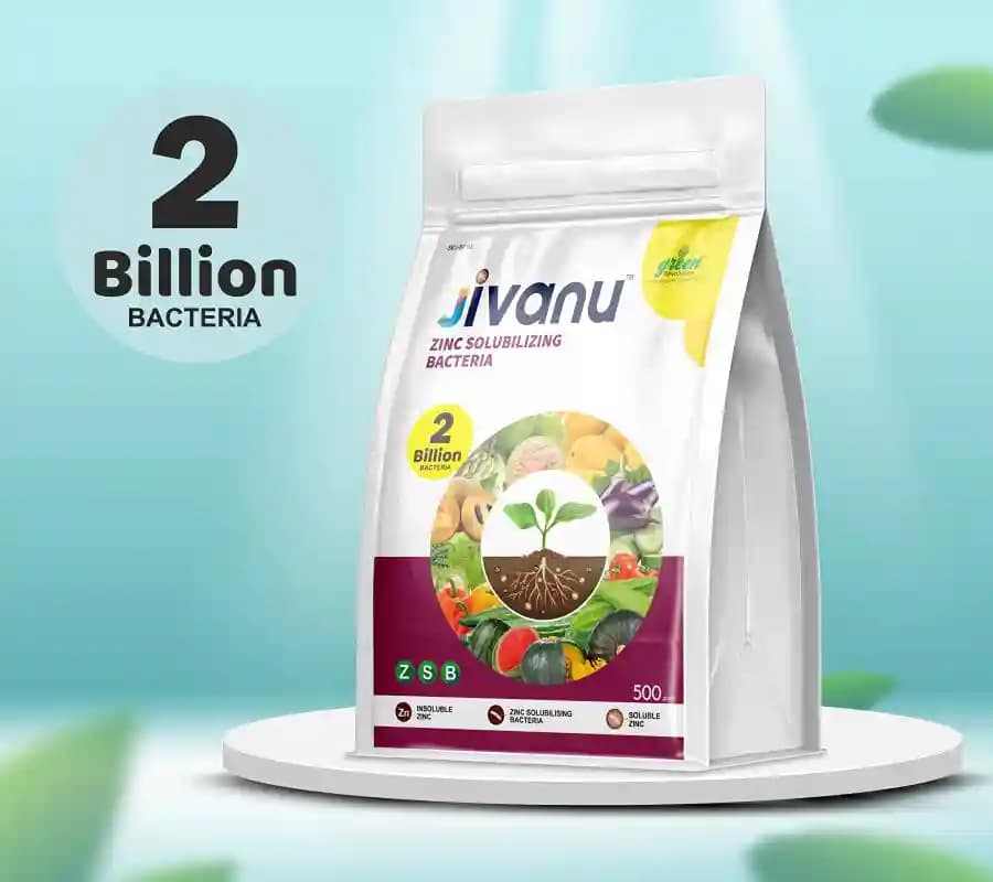 Jivanu Zinc Solubilizing Bacterial BioFertilizer (ZSB) , For All Plants and Home Garden Ecofriendly - Image 4
