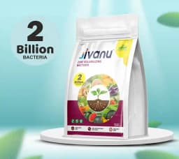 Jivanu Zinc Solubilizing Bacterial BioFertilizer (ZSB) , For All Plants and Home Garden Ecofriendly 4