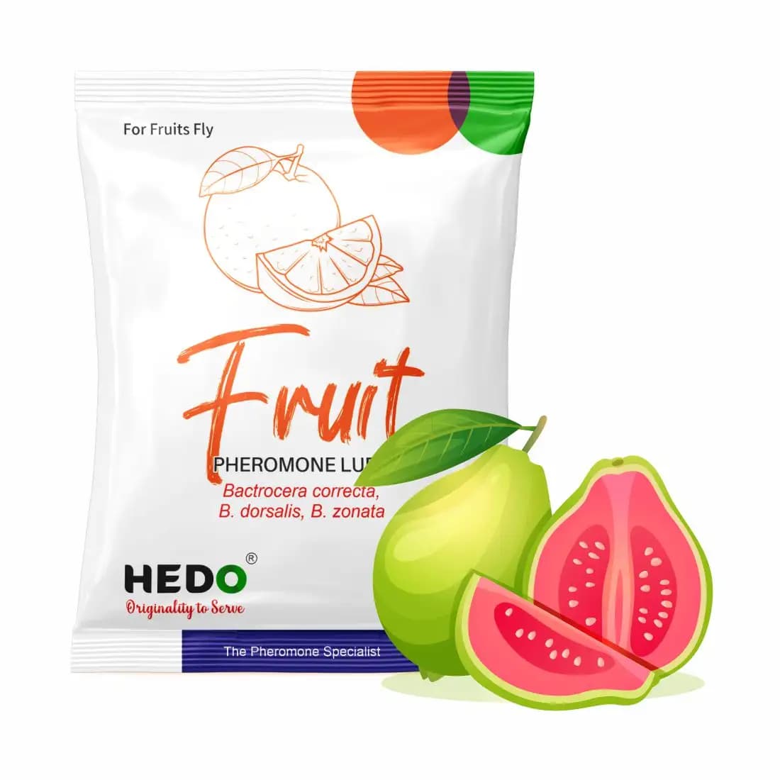 HEDO Fruit Fly Trap Yellow IPM With Fruit Fly Lure (Bactrocera Correcta, Bactrocera Zonata, Bactrocera Dorsalisa) Control Fruit Fly In All Fruits - Image 5