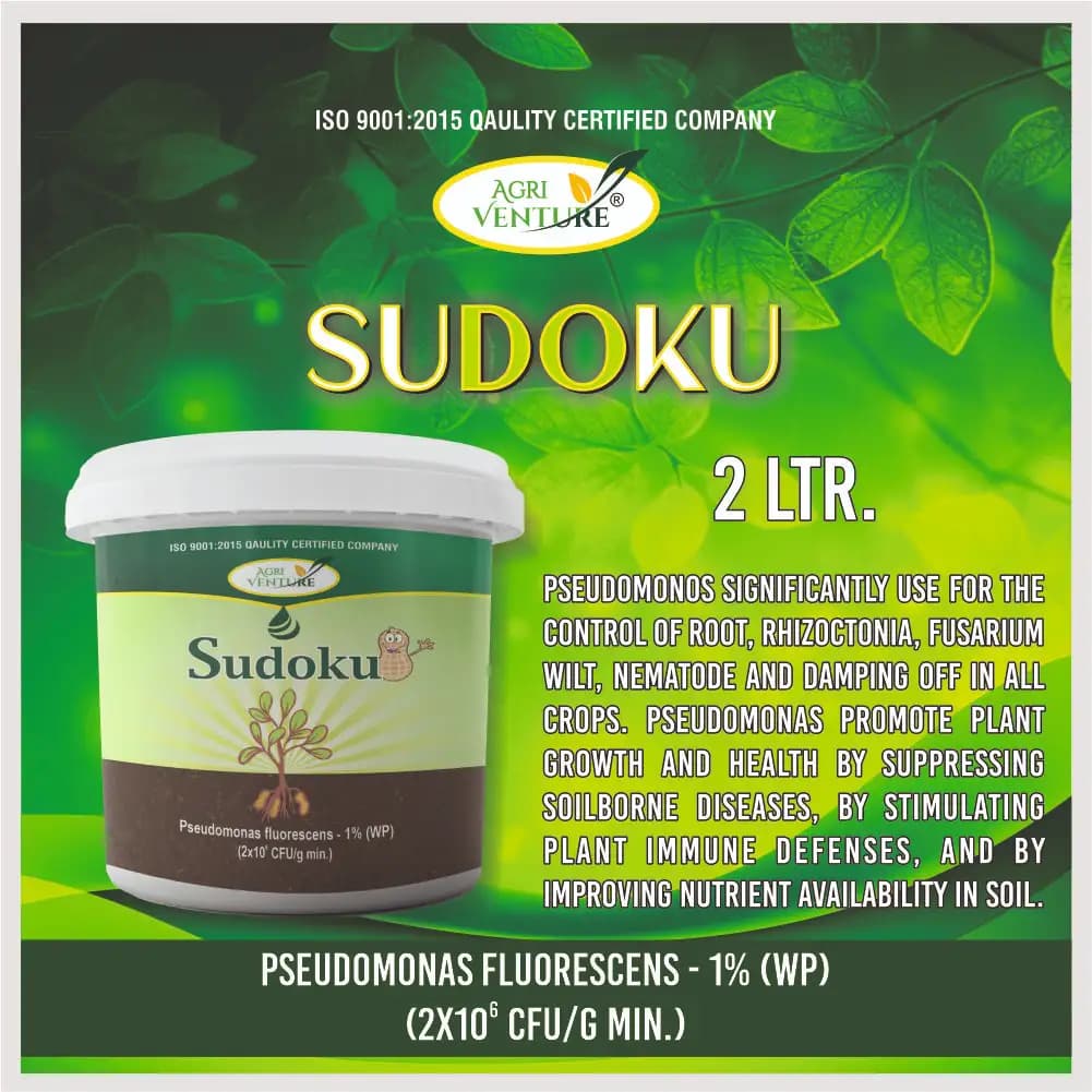 Agriventure Sudoku (Pseudomonas Flurescens 1% Wp) Promote Plant Growth And Health By Suppressing Soil Borne Diseases - Image 8