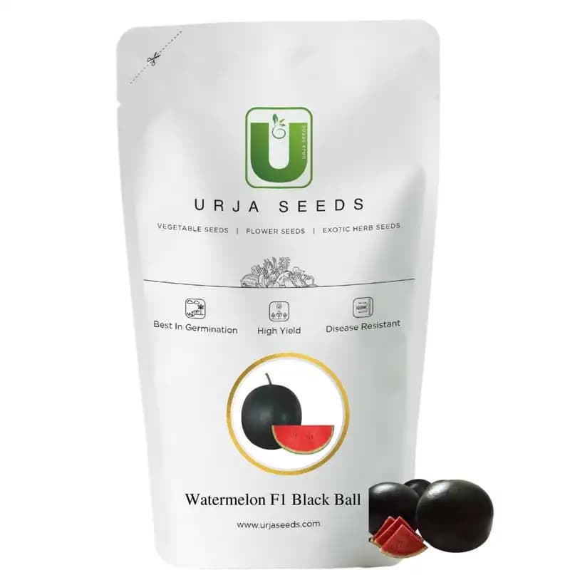 Urja Seeds F1 Hybrid US - 888 Sugar Baby Type Imp Watermelon Seeds, Kharbuje Ke Beej, Tarbuj Na Beej - Image 1