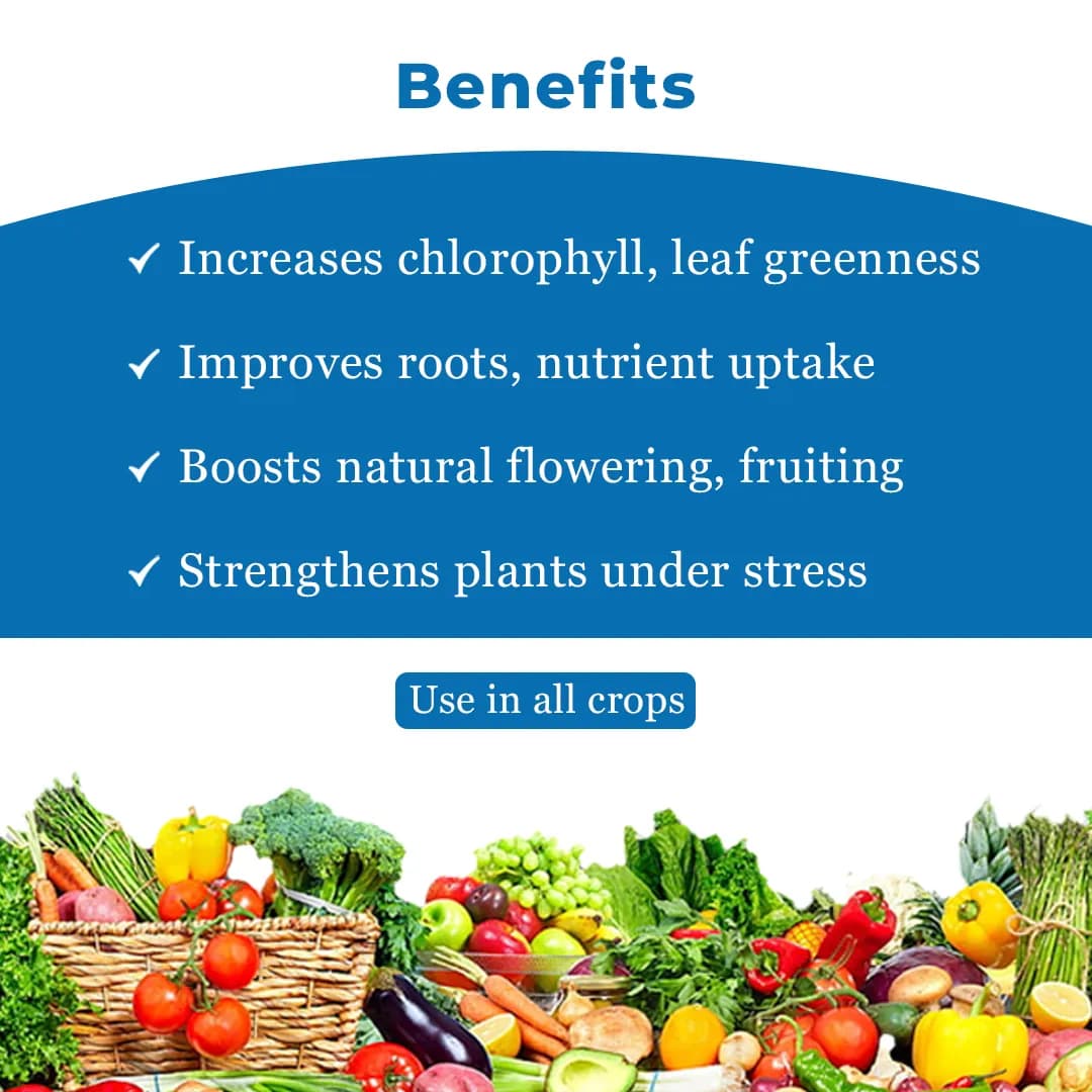 Cromin+ Ammonium Polyphosphate NPK 10:34:00 , Excellent Liquid Phosphatic Fertilizer - Image 4