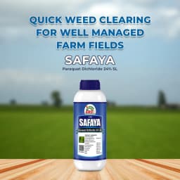 EBS Safaya - Paraquat Dichloride 24% SL, Non Selective Contact Herbicide 2