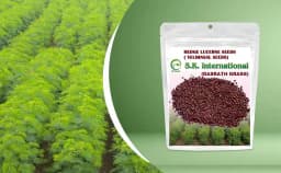 SK International Hedge Lucerne Seeds (Velimasal, Dasrath Grass Seeds) For Cattle Fodder 4