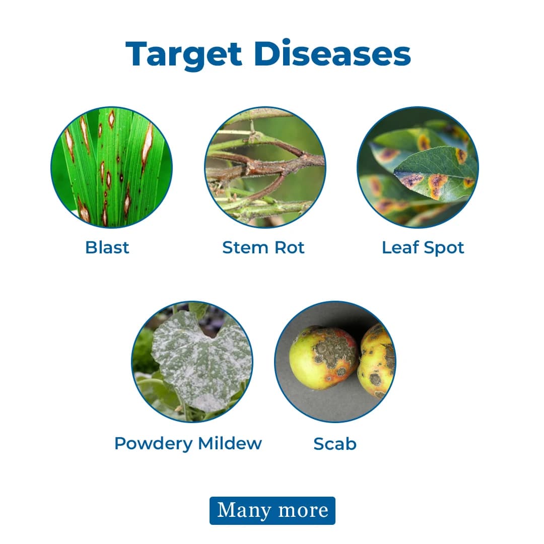 Crystal Bavistin Fungicide - Image 3
