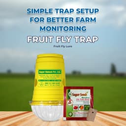 Sagar Fruit Fly Trap Glass, Bactocera Cucurbitae Lure, Effective Melon & Fruit Fly Control 2