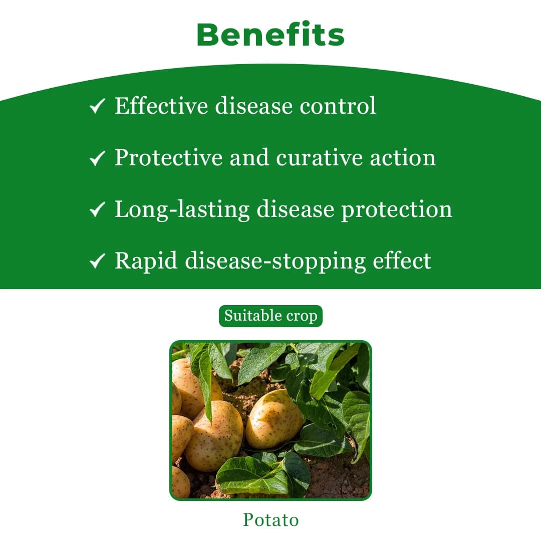 Bayer Infinito Fungicide - Image 4