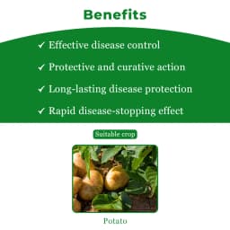 Bayer Infinito Fluopicolide 5.56% ww + Propamocarb Hydrochloride 55.6% Fungicide 4