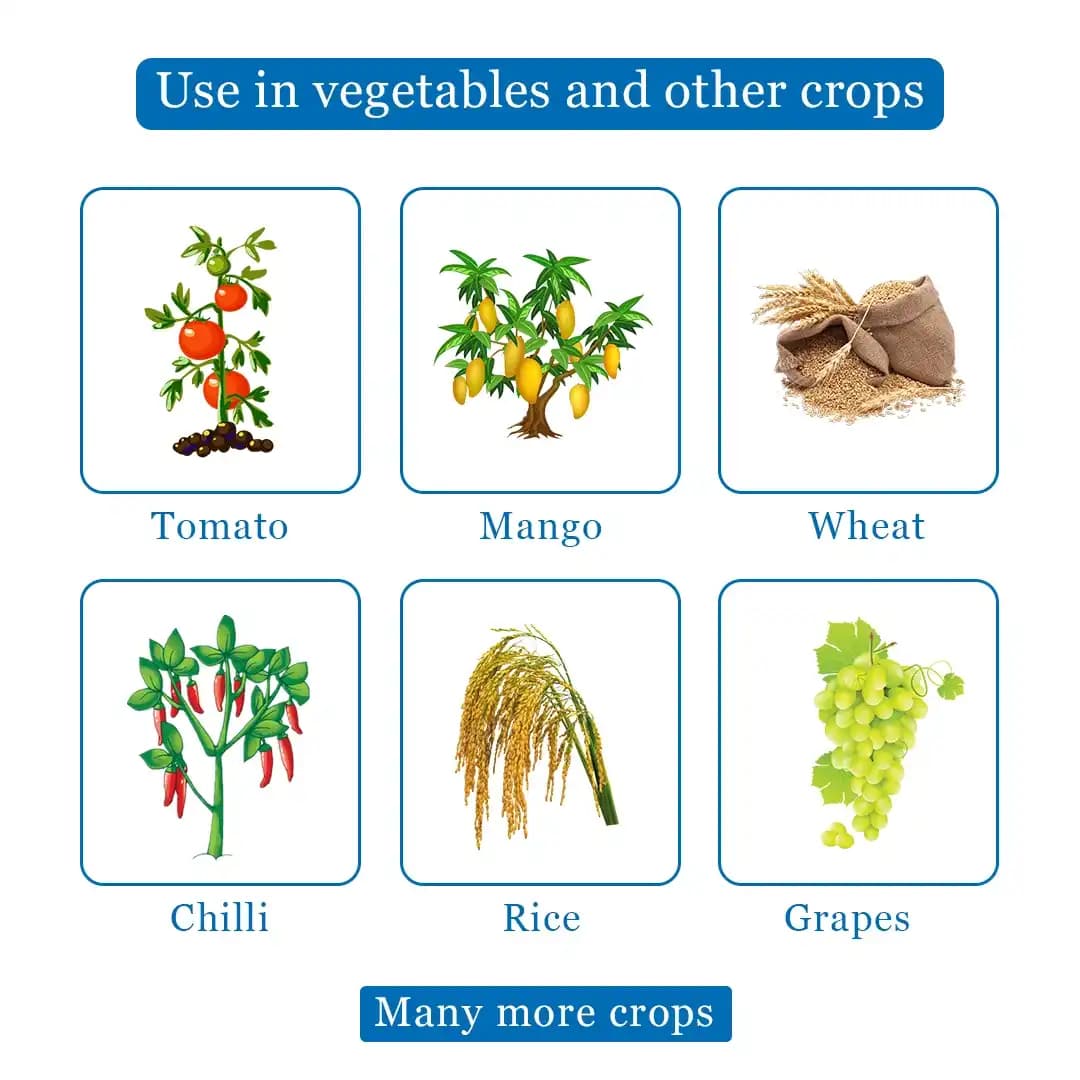Bayer Nativo Tebuconazole 50% + Trifloxystrobin 25% WG (75 WG) Fungicide, Used To Control Various Fungal Diseases On Different Crops - Image 4