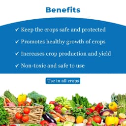 Nio Star - Superior Plant Growth Promoter and High-Performance Yield Enhancer (Fulvic Acid + NATCA + Organic Enzyme + Emulsifier) 4