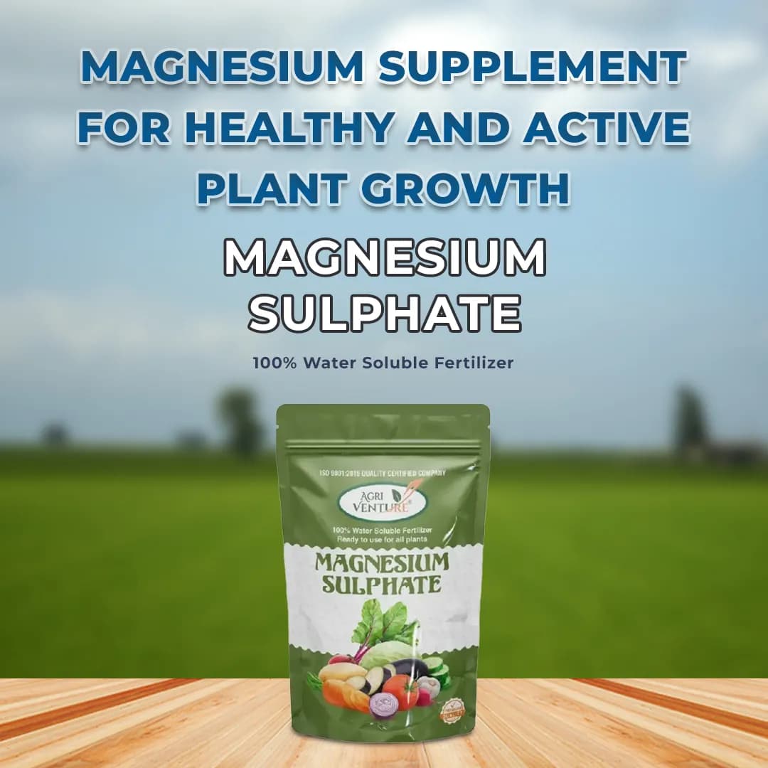 Agriventure Magnesium Sulphate 9.5%, Imported 100% Water Soluble Fertilizer, Increases Greenness and Ultimately Results in Yield and Crop Quality - Image 2