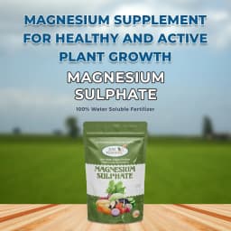 Agriventure Magnesium Sulphate 9.5%, Imported 100% Water Soluble Fertilizer, Increases Greenness and Ultimately Results in Yield and Crop Quality 2