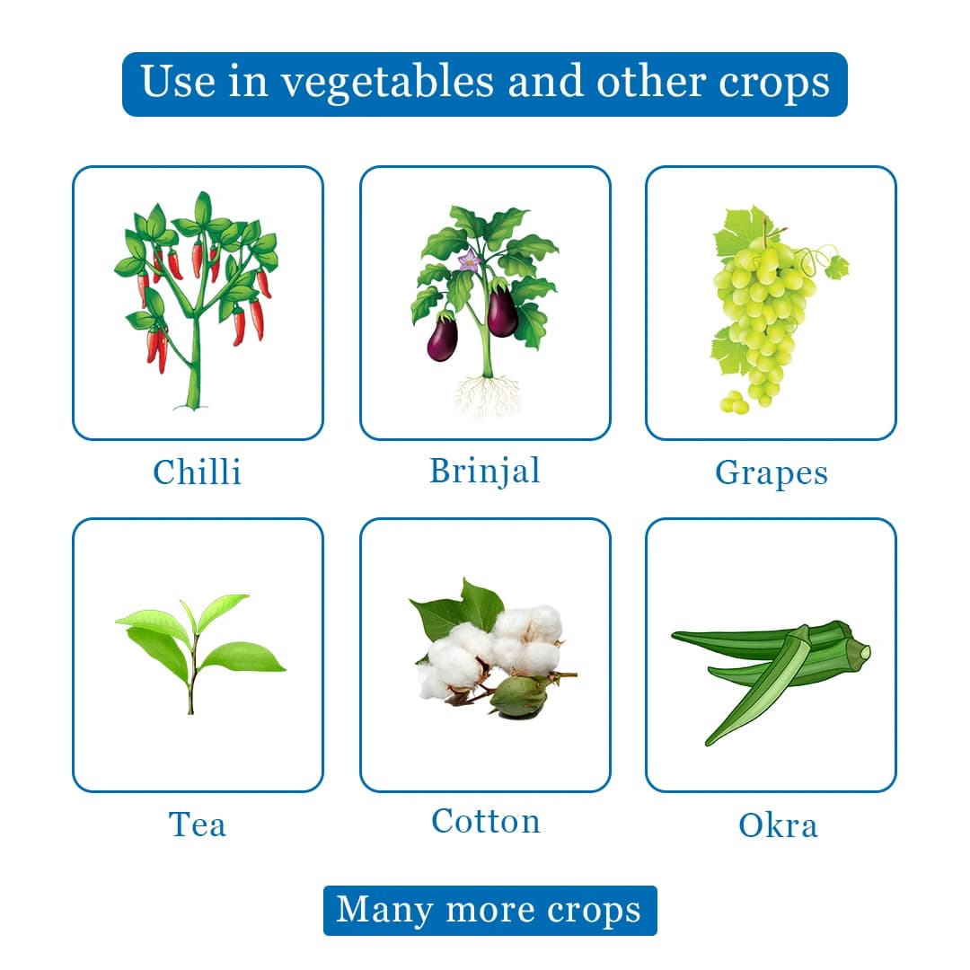 Crystal Crop Proclaim Emamectin Benzoate 5% SG, Suitable For Integrated Pest Management (IPM) System - Image 4