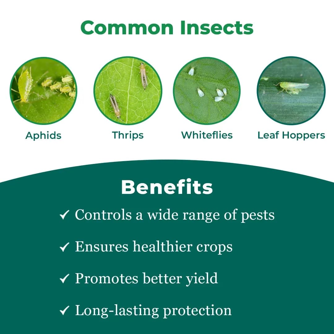 Katyayani IMD-70 Insecticide - Image 3