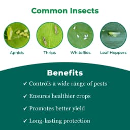 IMD-70 Insecticide - Imidacloprid 70% WG 3