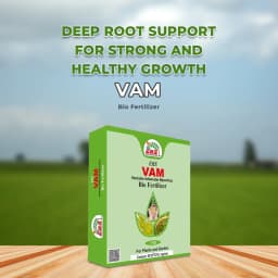 EBS VAM Bio Fertilizer (Vesicular Arbuscular Mycorrhizal), Use To Improve Soil Fertility In Your Farm & Garden 2