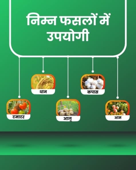 Katyayani Thioxam Thiamethoxam 25%WG Insecticide for Plants and Home Garden control for Sucking Pests Leaf Folder Paddy Whitefly Thrips In Rice Cotton - Image 4