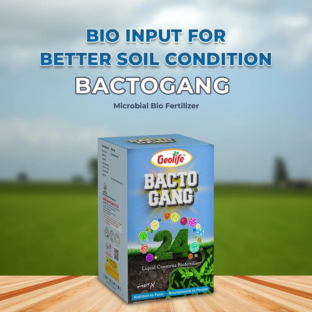 Geolife Bactogang 24 Advance Microbial Bio Fertilizer, Boost Soil Fertility - Image 2