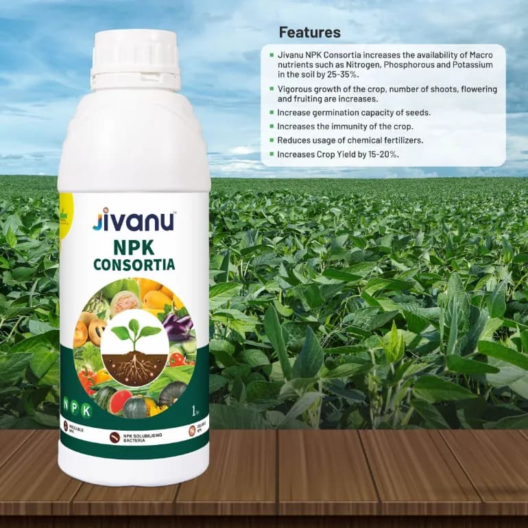 Green Revolution Jivanu NPK Consortia Bacteria Liquid Bio Fertilizer, Improves Soil Fertility And Plant Health. - Image 6