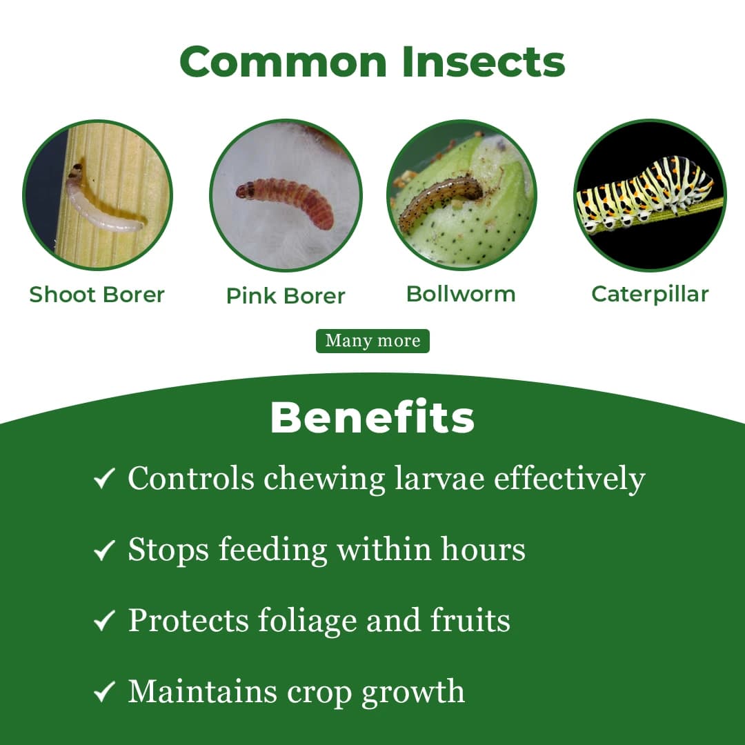 Gharda OMG Insecticide - Image 3