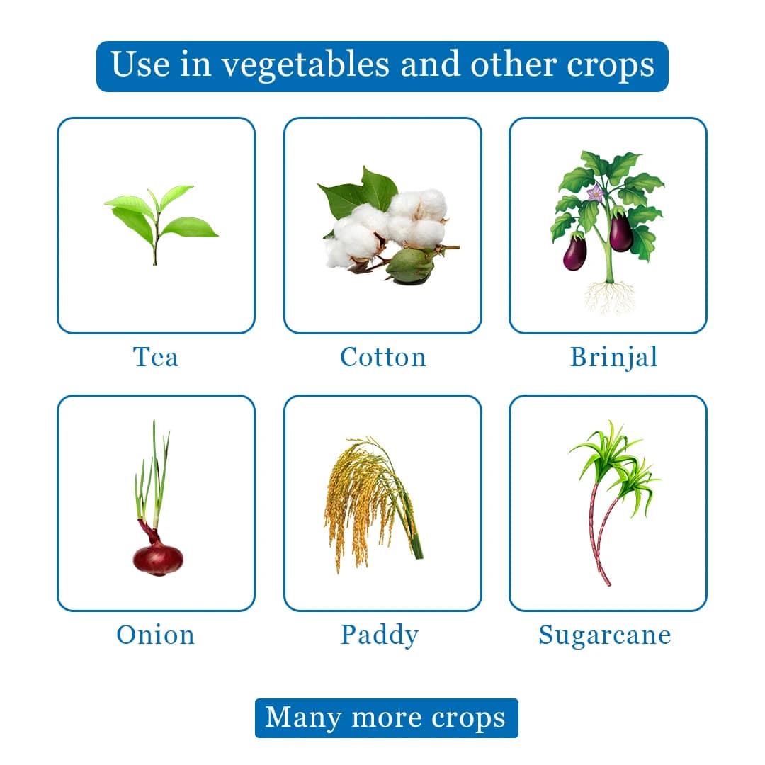 EBS Tapride Insecticide - Image 5