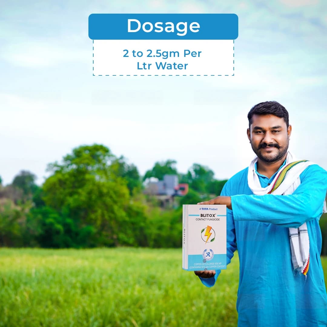 Tata Blitox Fungicide - Image 5