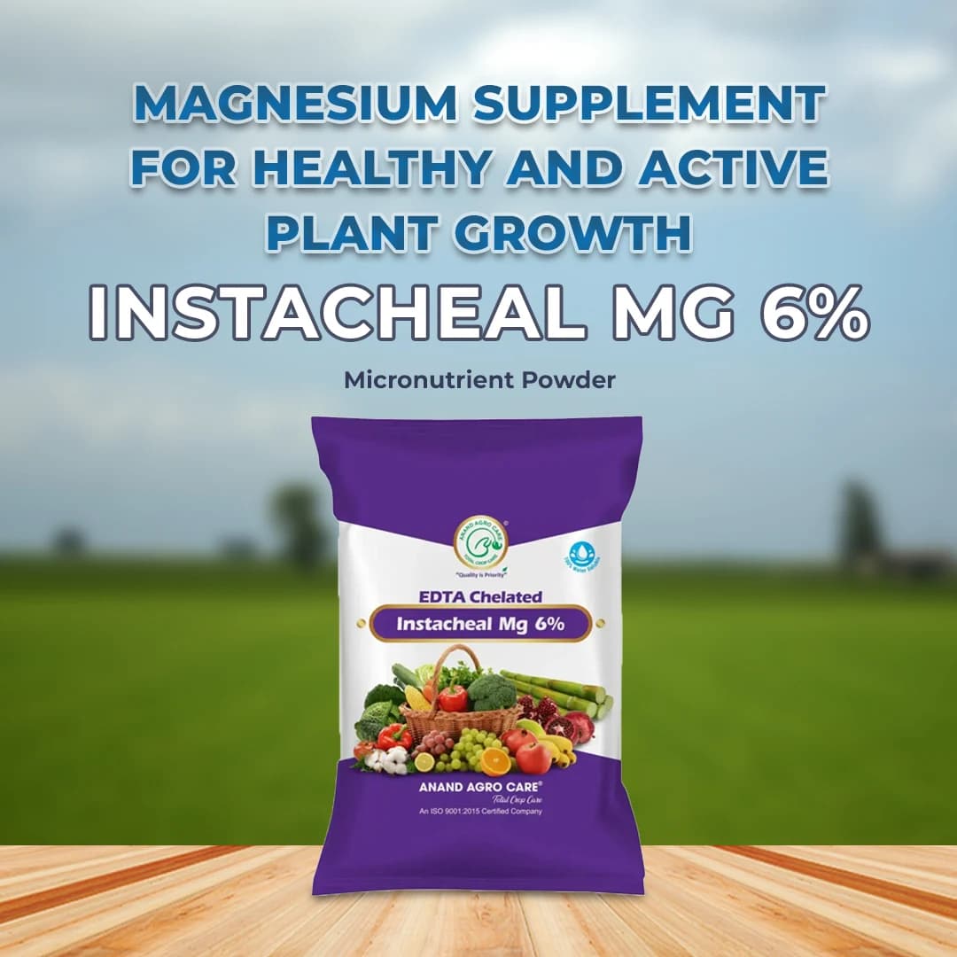 Instacheal Mg 6% - Chelated Magnesium Fertilizer - Image 2