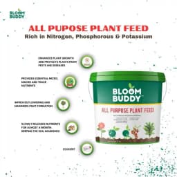 BloomBuddy All Purpose Plant Feed Granules, Organic Slow-Release Fertilizer with NPK & Micronutrients 8