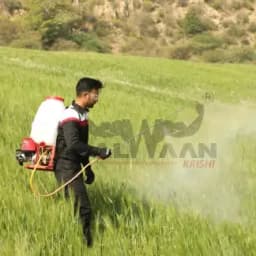 Balwaan BKS 35 Knapsack Petrol Power Sprayer 4 Stroke, Used For Spraying Liquid Solutions In Agricultural & Gardening Area, 25 Liter Tank Capacity 12