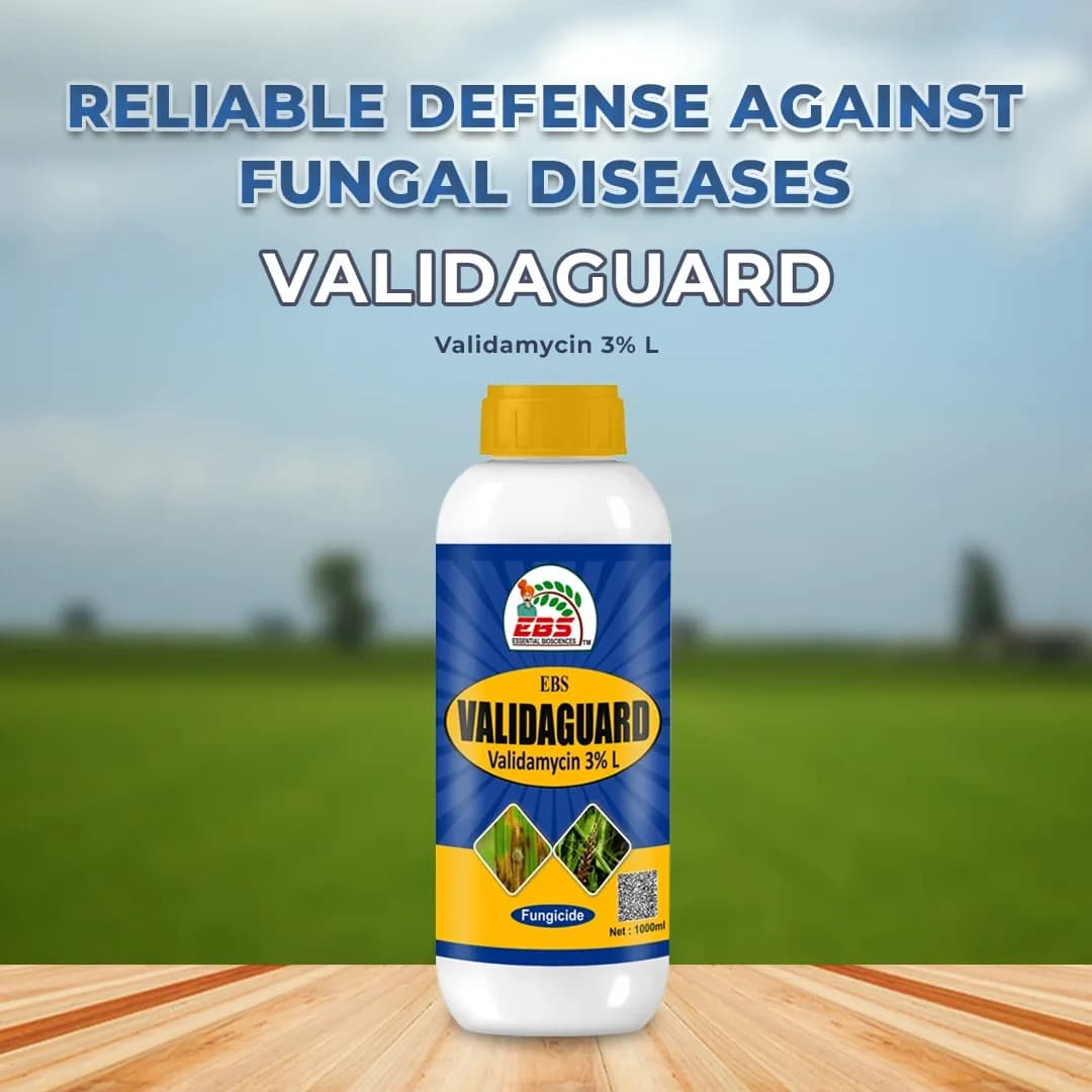 EBS Validaguard Fungicide - Image 2