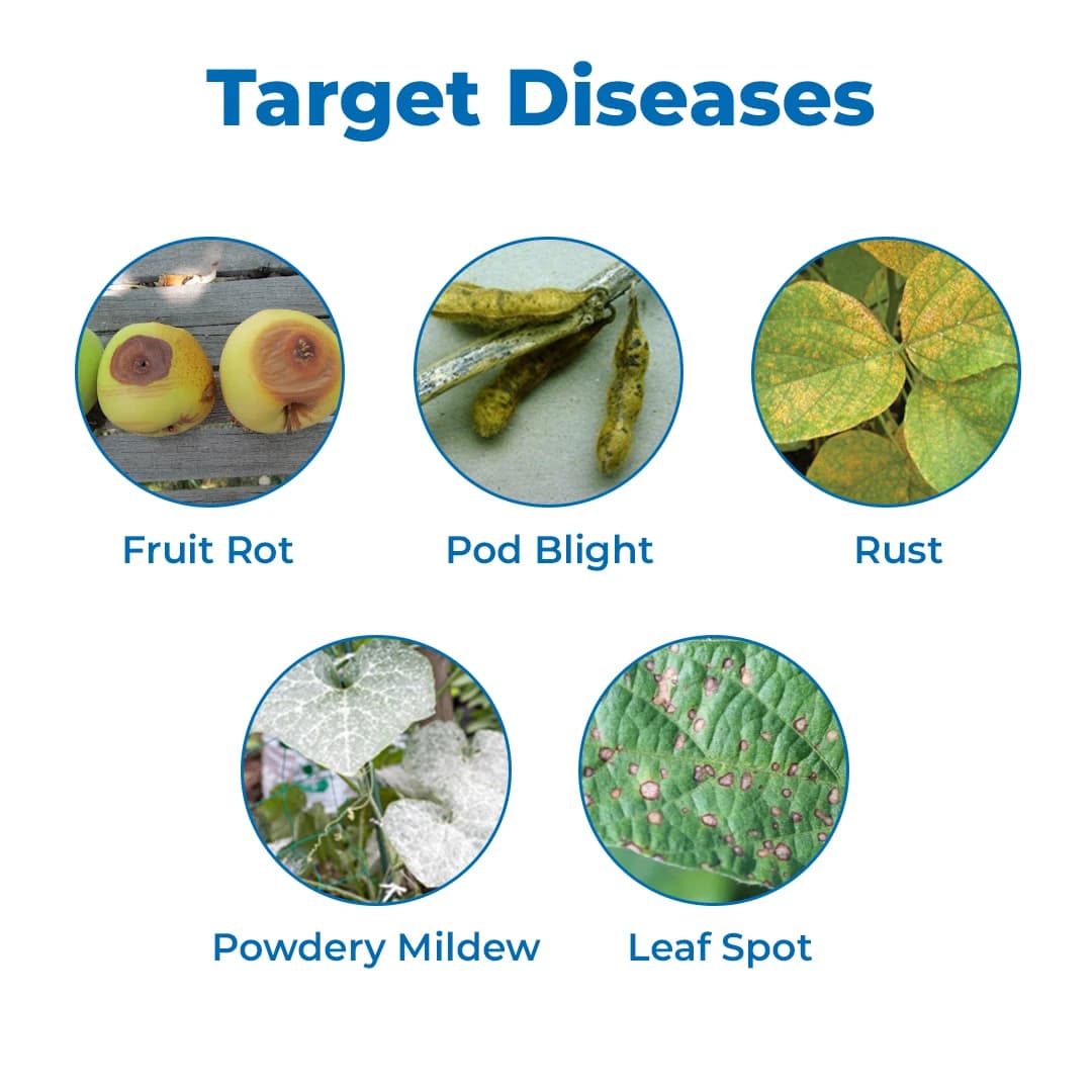 Excel Sumitomo Swadheen Tebuconazole 10% + Sulphur 65% WDG, Efficient And Cost Effective Solution For Fungal Disease - Image 3