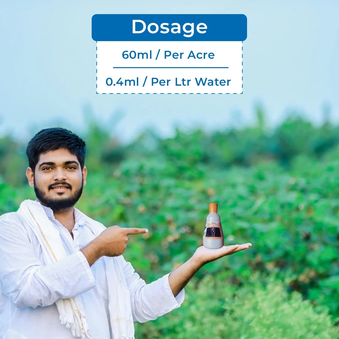 Swal Kinsta Chlorantraniliprole 18.5% SC Insecticide, Effective Pest Control on Various Crops - Image 5