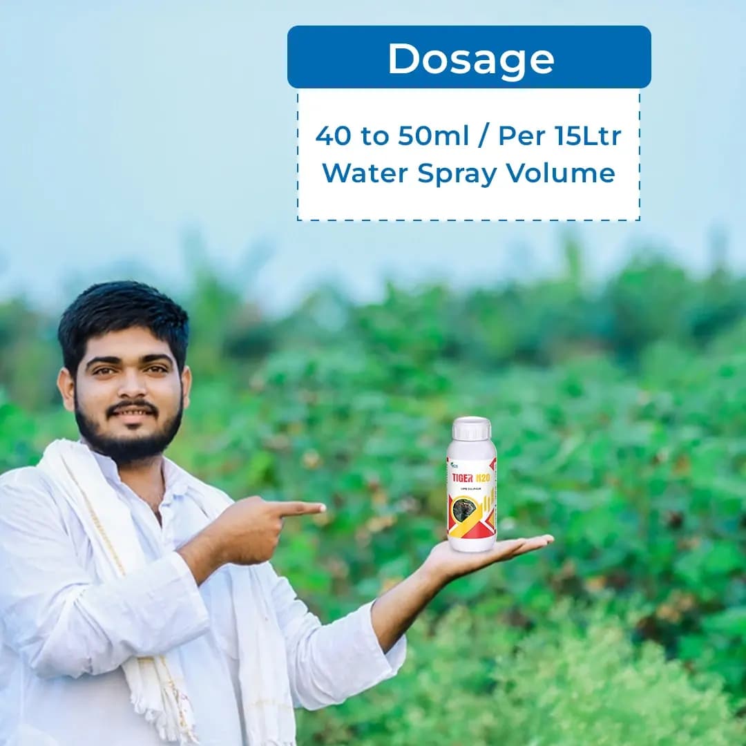 TIGER N 20 - Liquid Sulphur Is An Effective Fungicide and Plant Nutrient. - Image 5