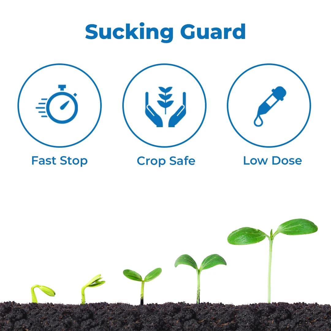 Coromandel Astra (Pymetrozine 50% WG) Insecticide, Highly Effective Solution for BPH Control In Paddy - Image 3