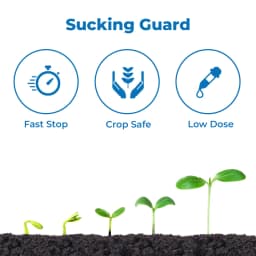 कोरोमंडल ऐस्ट्रा (पाइमेट्रोज़िन 50% डब्ल्यूजी) कीटनाशक, धान में भूरी कत्थई इल्ली (बीपीएच) नियंत्रण के लिए अत्यंत प्रभावी समाधान 3