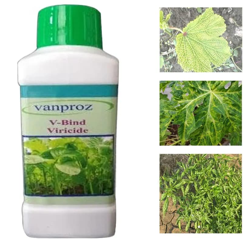 Vanproz Combo Offer (V Bind 250 Ml + V Kure 250 Gm) For Controlling Papaya and Chilli Viral, Bacterial & Fungal Disease - Image 2