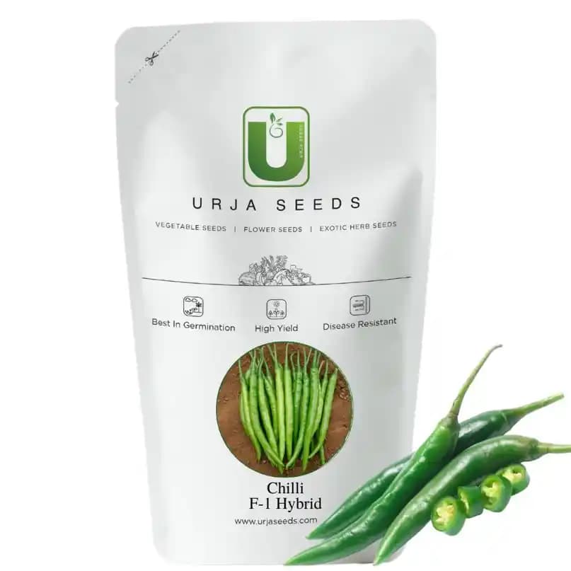 Chilli F-1 Hybrid US - 327, Medium Tall Umbrella Type Plants, Green Fruits. - Image 1