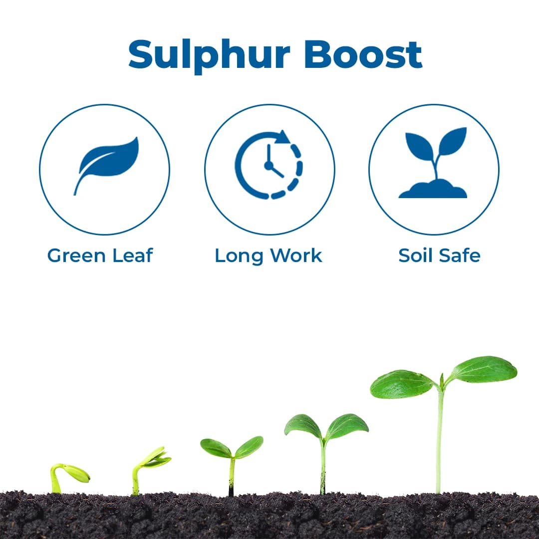 NFL Kisan - Bentonite Sulphur 90% Fertilizer - Image 3